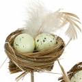 Floristik24 Deco plug vtáčie hniezdo, veľkonočná dekorácia, hniezdo s vajíčkami 23cm 6ks