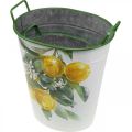 Floristik24 Stredomorská plechová vaňa, kvetináč s citrónovým motívom biela, zelená, žltá V43,5/34 cm Š36,5/27,5 cm sada 2 kusov