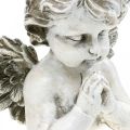 Floristik24 Modliaci sa anjel, smútočné kvety, busta anjelika, výzdoba na hrob V19cm Š19,5cm
