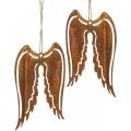 Floristik24 Anjelské krídla kovový deko vešiak patina dekorácia 19,5cm 3ks