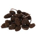 Floristik24 Prírodné jelšové šišky, voľné, na ozdobu, 3 cm, 300 g, prírodná hnedá.