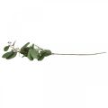 Floristik24 Umelá deko vetvička eukalyptu s púčikmi umelá rastlina 60cm