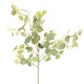 Floristik24 Umelá vetvička eukalyptu s okrúhlymi listami, 75 cm, 4 kusy