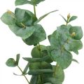 Floristik24 Vetva eukalyptu Umelá zelená rastlina Eucalyptus Deco 75 cm