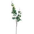 Floristik24 Eukalyptová vetva umelý eukalyptus zelený 64cm
