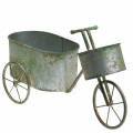 Floristik24 Kvetináč Bicykel Zinok Sivý, Zelený 40×14×21cm