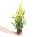 Umelá papraď s koreňovým balom na dekoráciu do domácnosti a kancelárie, 57 cm | Floristik24.sk