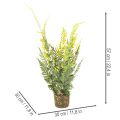Umelá papraď s koreňovým balom na dekoráciu do domácnosti a kancelárie, 57 cm | Floristik24.sk
