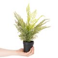 Umelá papraď v kvetináči na vnútornú zeleň, 40 cm | Floristik24.sk