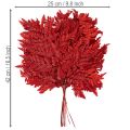 Konzervované a farbené listy papradia, pravá papraď na jesenné aranžmány, 42 cm, 10 kusov | Floristik24.sk