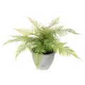 Floristik24 Umelá papraď v kvetináči do obývačky a kancelárie, 35 cm