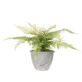 Umelá papraď v kvetináči do obývačky a kancelárie, 35 cm | Floristik24.sk