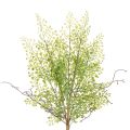 Floristik24 Umelá zelená vetvička Ruscus na kvetinovú dekoráciu, 41 cm