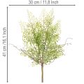 Umelá zelená vetvička Ruscus na kvetinovú dekoráciu, 41 cm | Floristik24.sk