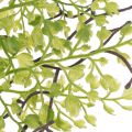 Umelá zelená vetvička Ruscus na kvetinovú dekoráciu, 41 cm | Floristik24.sk