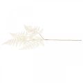Floristik24 Ozdobná listová papraď, umelá rastlina, konár papradia, ozdobný list paprade biely L59cm