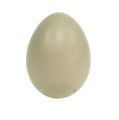 Floristik24 Bažantie vajíčko prírodné zelené 4,5cm 12ks