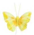 Floristik24 Motýľ pierko 10cm žltý 12ks