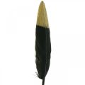 Floristik24 Ozdobné pierka čierne, zlaté pravé pierka na remeslá 12-14cm 72ks