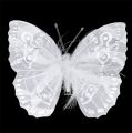 Floristik24 Motýľ pierko 11,5cm s klipom biely 3ks