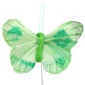 Floristik24 Motýľ z peria na drôte farebný 6cm 12ks