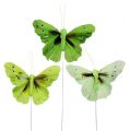 Floristik24 Motýľ z peria 8,5cm zelený 12ks