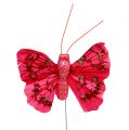 Floristik24 Motýľ z peria s trblietkami 5cm zadoček. 24h