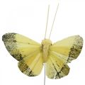 Floristik24 Motýlik pierko na drôte 5cm oranžový, žltý 24ks