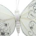 Floristik24 Motýľ z peria s kamienkami, trblietky biele 10,5cm 4ks