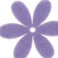 Floristik24 Plstený kvet fialový, biely triedený 4,5cm 54str