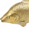 Floristik24 Dekoratívna socha ryby v zlatej farbe na stojan na plastiku ryby Polyresin malá L18cm