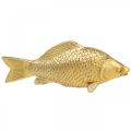 Floristik24 Dekoratívna socha ryby v zlatej farbe na stojan na plastiku ryby Polyresin malá L18cm