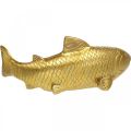 Floristik24 Ozdobná rybka na odkladanie, plastika ryby polyresin zlatá veľká L25cm