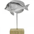 Floristik24 Ryba na umiestnenie, námorná dekorácia, ozdobná ryba z kovu strieborná, prírodné farby V23cm