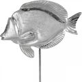 Floristik24 Dekoračná rybka, námorná dekorácia, ryba zo strieborného kovu, farba prírodná V28,5cm