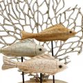 Floristik24 Dekorácia kŕdeľ rýb, dekorácia koral, drevená dekorácia rybka V48,5cm
