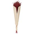 Ľanové bordó červené sušené dekorácie Sušené kvety D55cm 80g | Floristik24.sk