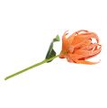Floristik24 Penový kvet oranžový 12cm L30cm 1ks