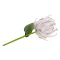 Floristik24 Penový kvet biely, fialový 12cm L30cm 1ks