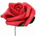 Floristik24 Penová ruža Ø3,5cm červená 48str