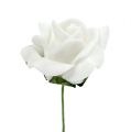 Floristik24 Penová ruža Ø 3,5cm biela 48 kusov