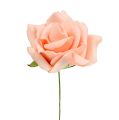 Floristik24 Penová ruža Ø 6cm lososovo ružová 27b