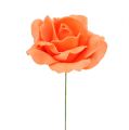 Floristik24 Penová ruža Ø 6cm oranžová 27b