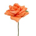 Floristik24 Penová ruža Ø7,5cm oranžová 18str