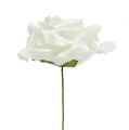 Floristik24 Penová ružová biela Ø15cm 4ks