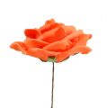 Floristik24 Penové ruže oranžové Ø15cm 4ks