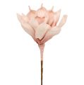 Floristik24 Penová kvetina magnólia ružová Ø15cm L65cm
