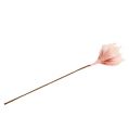 Floristik24 Penová kvetina magnólia ružová Ø15cm L65cm