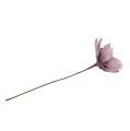Floristik24 Penový kvet Magnolia Berry Ø15cm L67cm