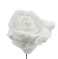 Floristik24 Penové ruže biele Ø3,5cm 20p